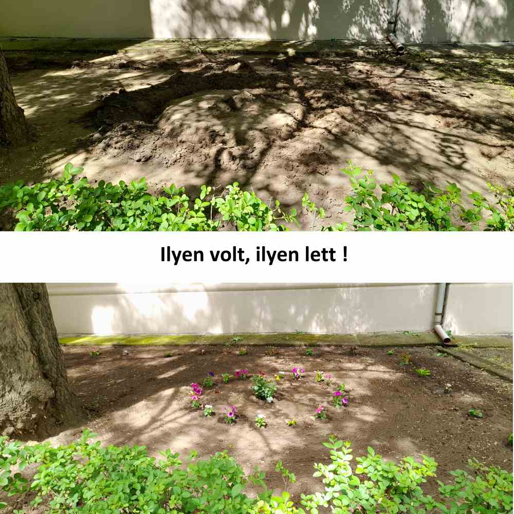 Ilyen volt, ilyen lett!