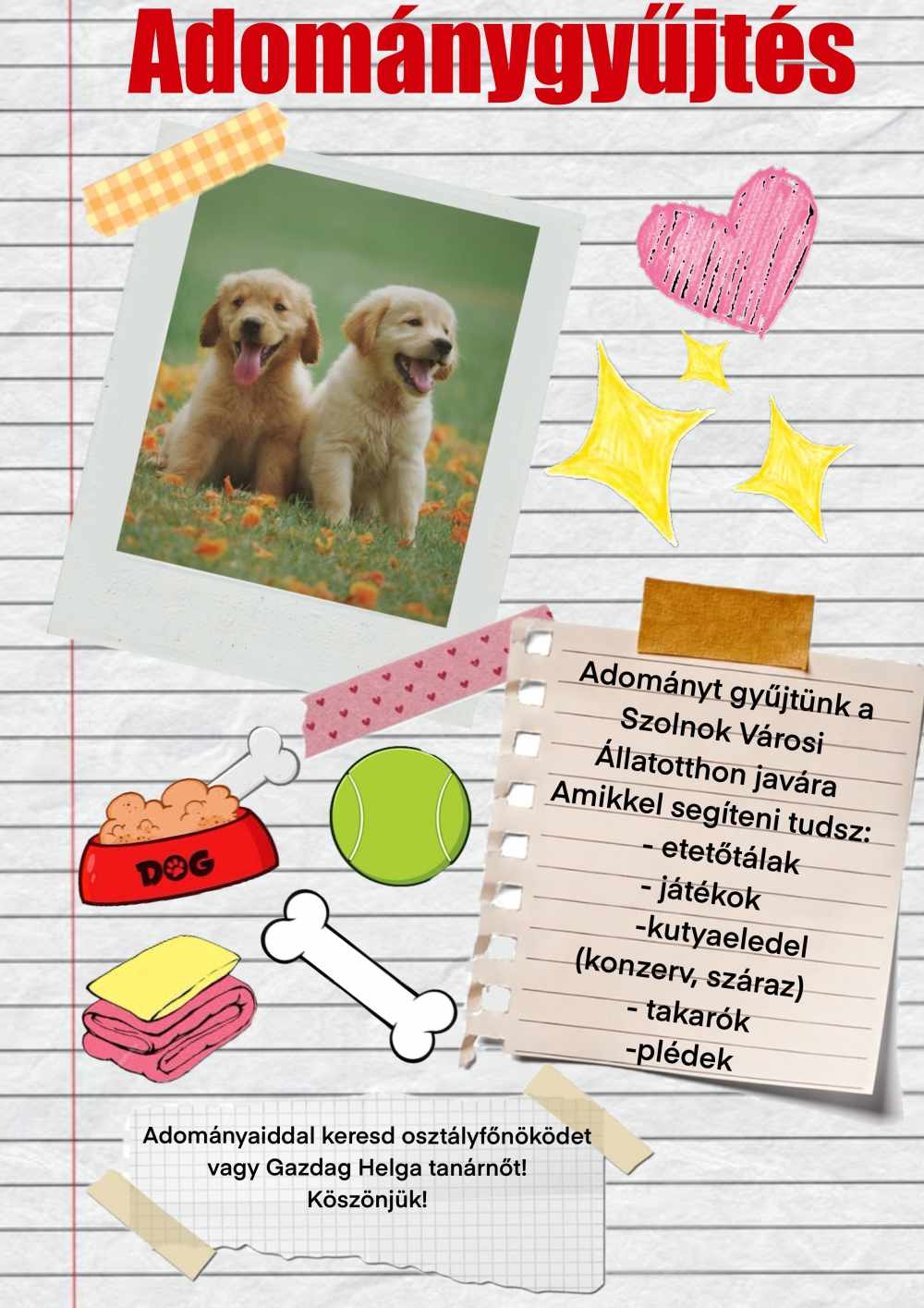 Adományt gyűjtünk a Szolnok Város Állatotthon javára